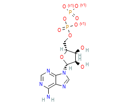 2D structure of the orthosteric ligand