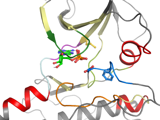 The orthosteric binding pocket