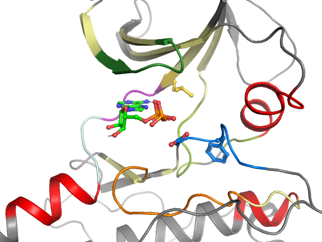 The orthosteric binding pocket