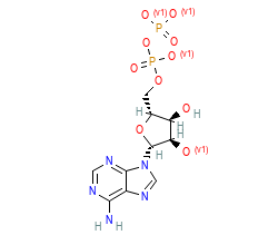 2D structure of the orthosteric ligand