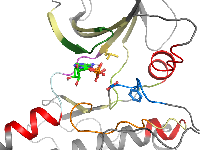 The orthosteric binding pocket