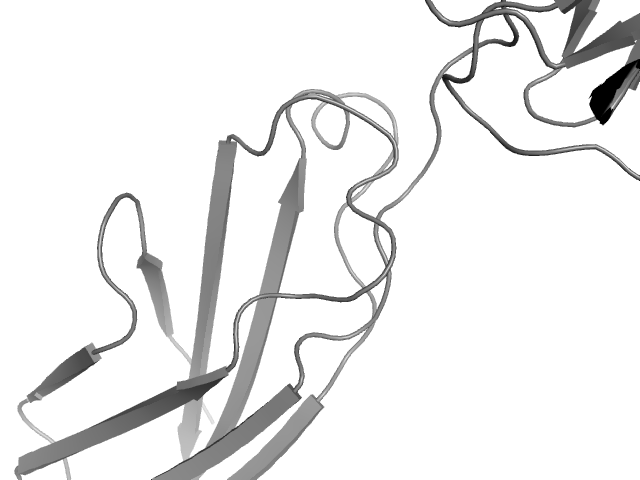 The orthosteric binding pocket