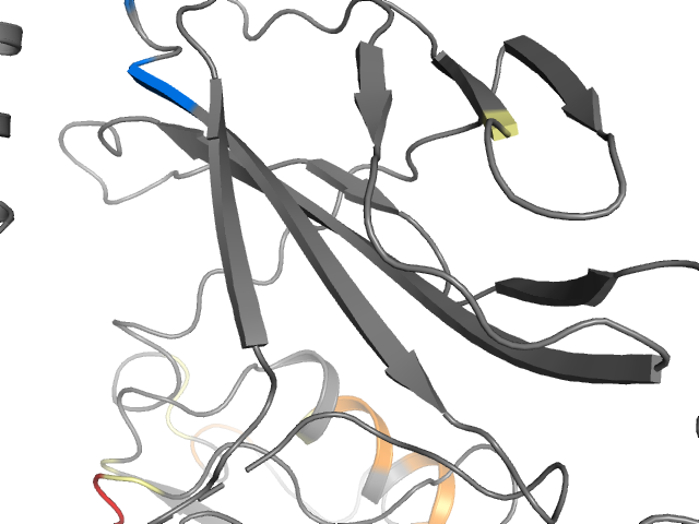 The orthosteric binding pocket