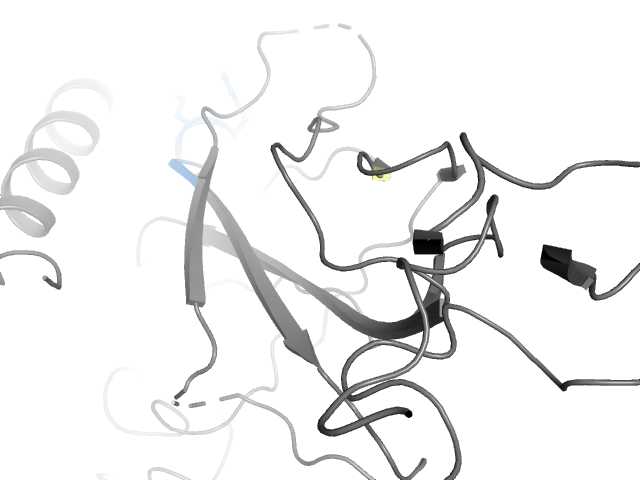 The orthosteric binding pocket
