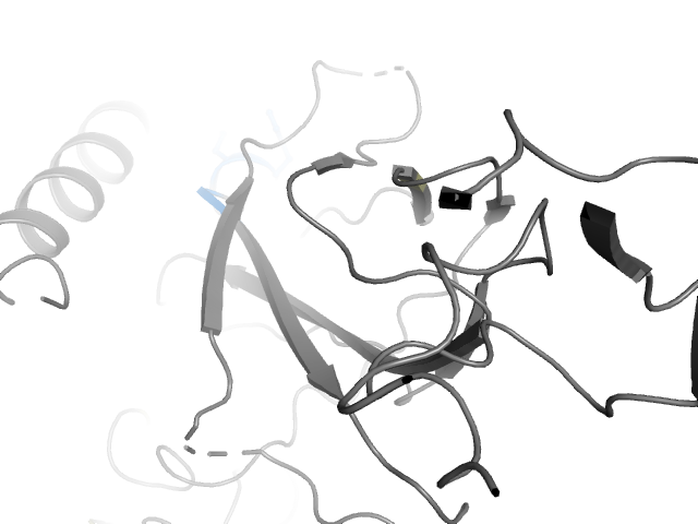 The orthosteric binding pocket