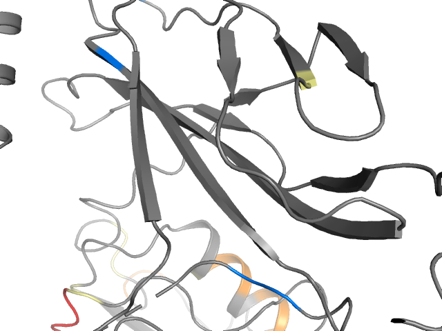 The orthosteric binding pocket