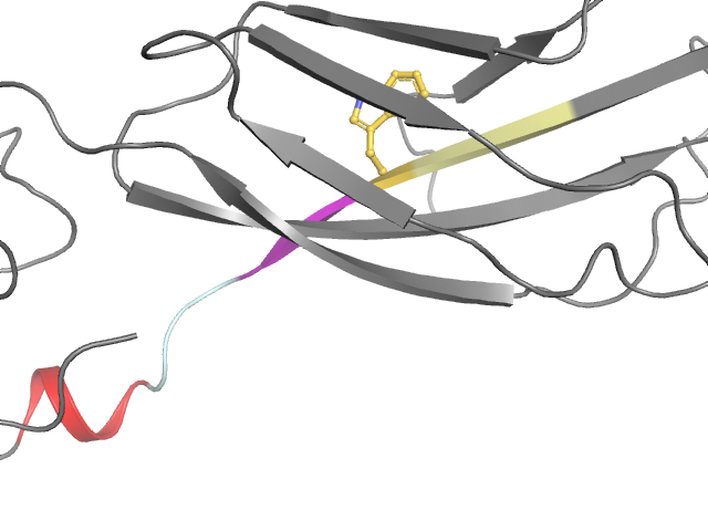 The orthosteric binding pocket