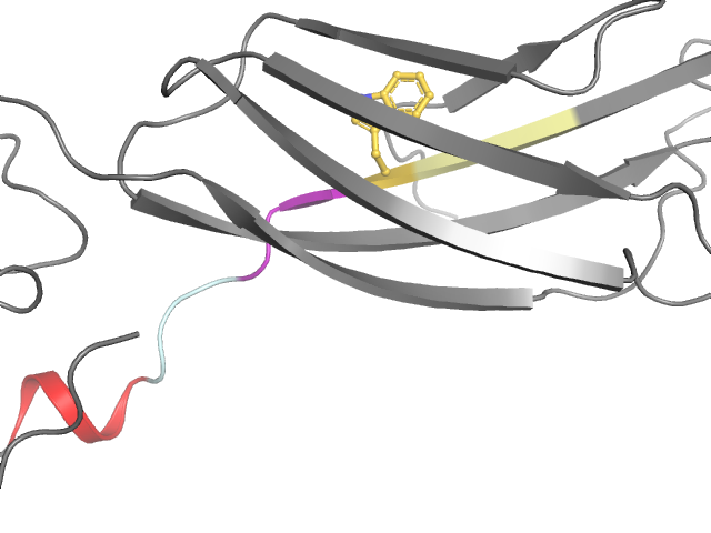 The orthosteric binding pocket