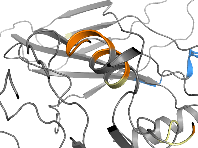 The orthosteric binding pocket
