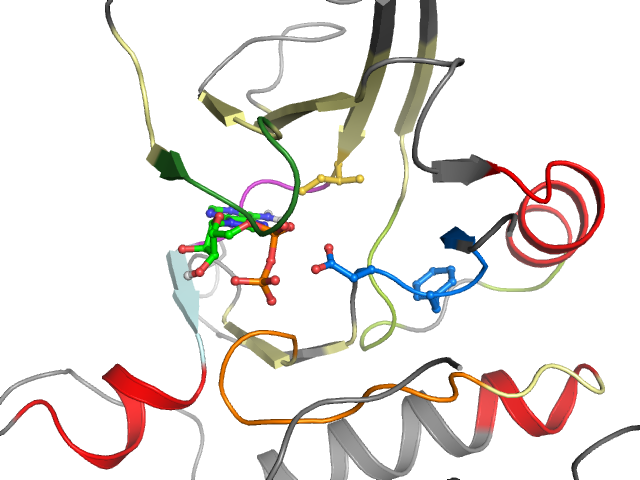 The orthosteric binding pocket