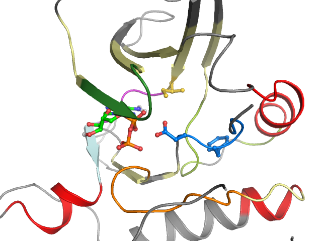 The orthosteric binding pocket