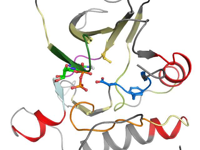 The orthosteric binding pocket