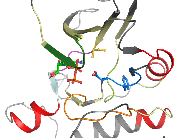 The orthosteric binding pocket