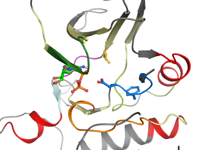 The orthosteric binding pocket