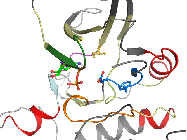 The orthosteric binding pocket