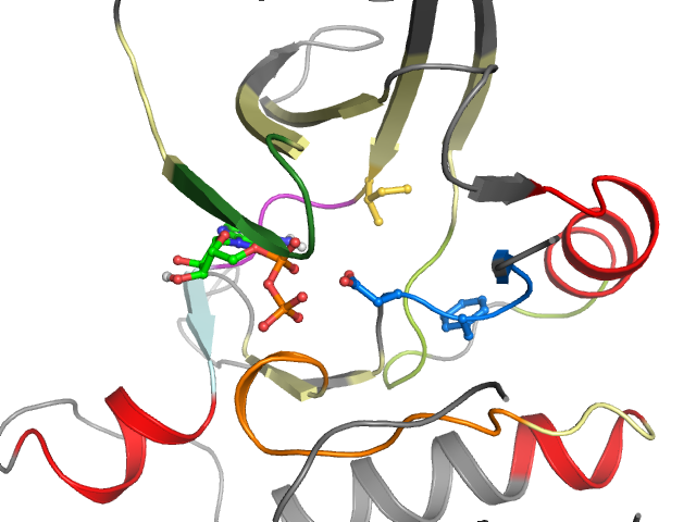 The orthosteric binding pocket