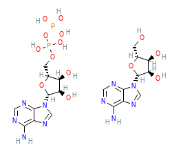 2D structure of the allostericligand