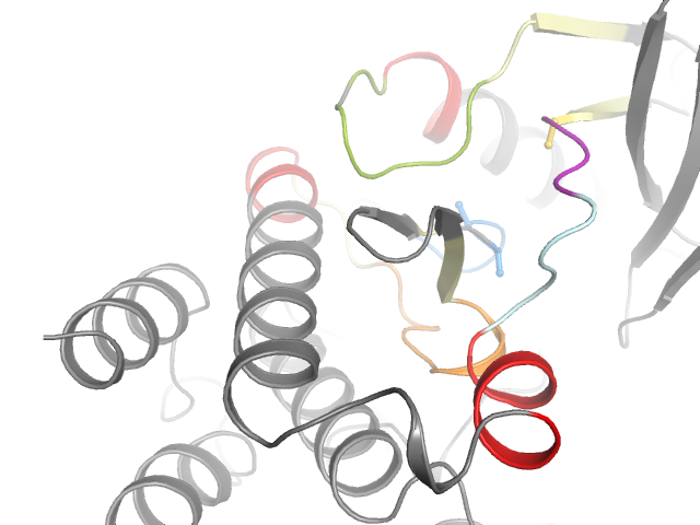 The orthosteric binding pocket