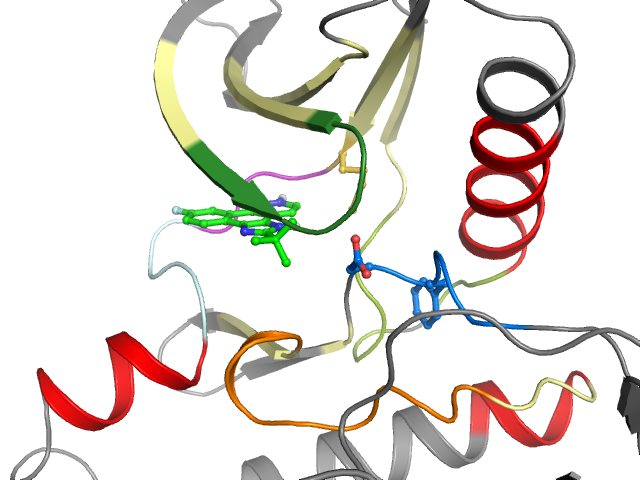 The orthosteric binding pocket