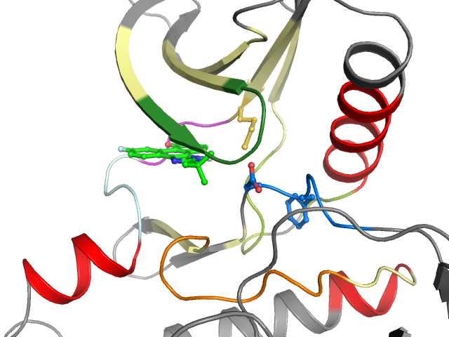 The orthosteric binding pocket