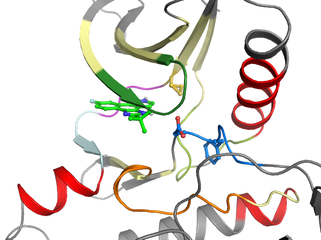 The orthosteric binding pocket