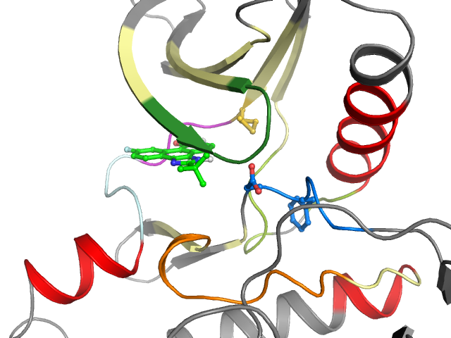 The orthosteric binding pocket