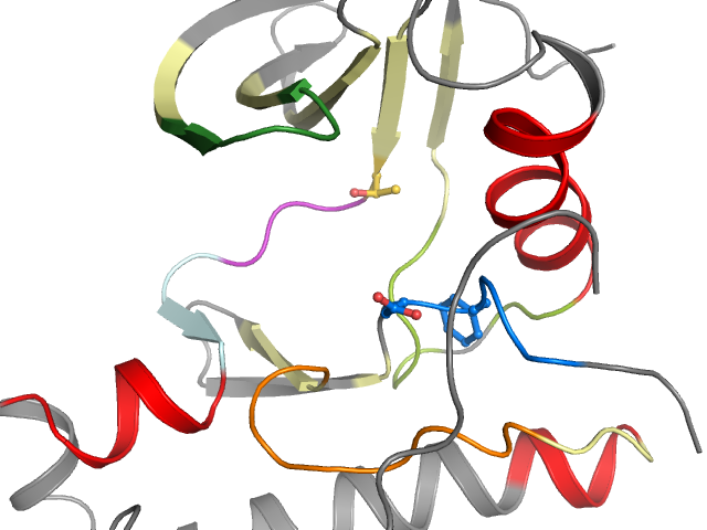 The orthosteric binding pocket