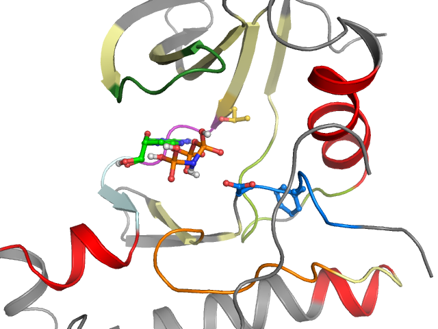 The orthosteric binding pocket