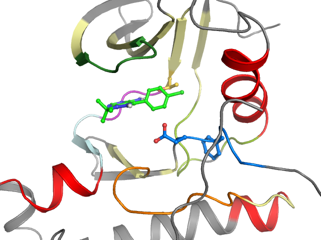 The orthosteric binding pocket