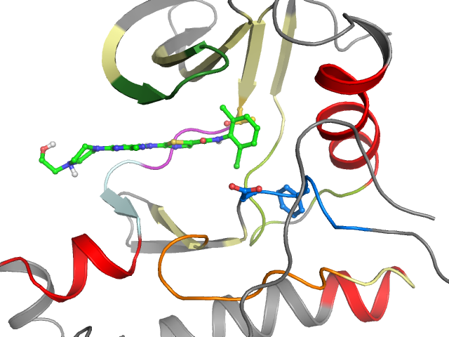 The orthosteric binding pocket