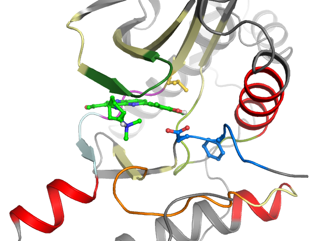 The orthosteric binding pocket