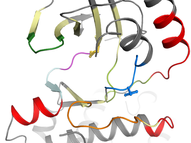 The orthosteric binding pocket