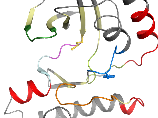 The orthosteric binding pocket