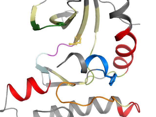 The orthosteric binding pocket