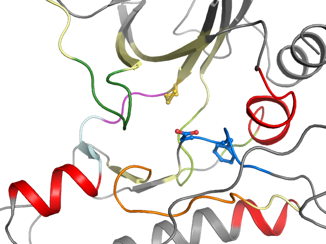 The orthosteric binding pocket