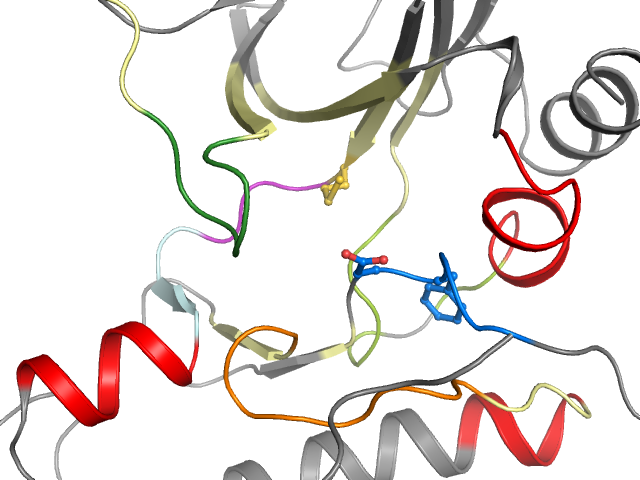 The orthosteric binding pocket