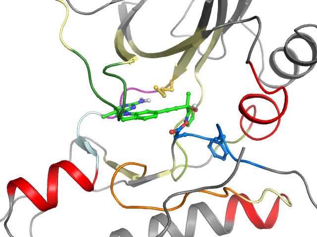 The orthosteric binding pocket