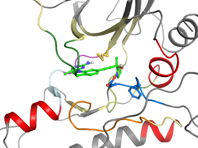 The orthosteric binding pocket