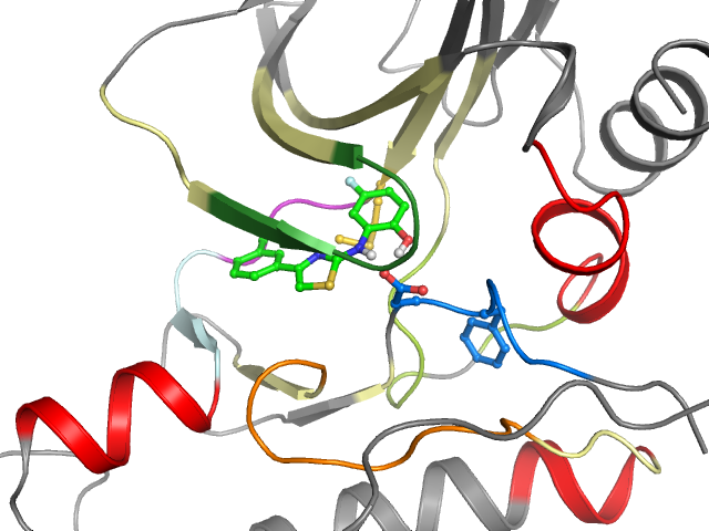 The orthosteric binding pocket