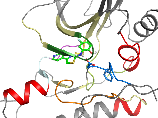The orthosteric binding pocket