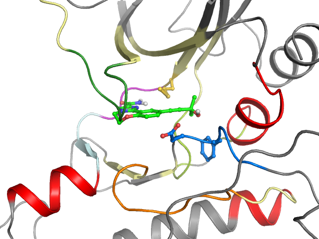 The orthosteric binding pocket