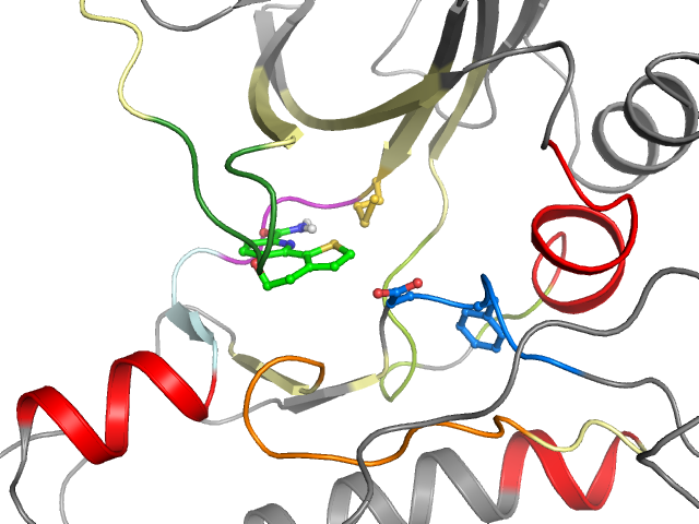 The orthosteric binding pocket