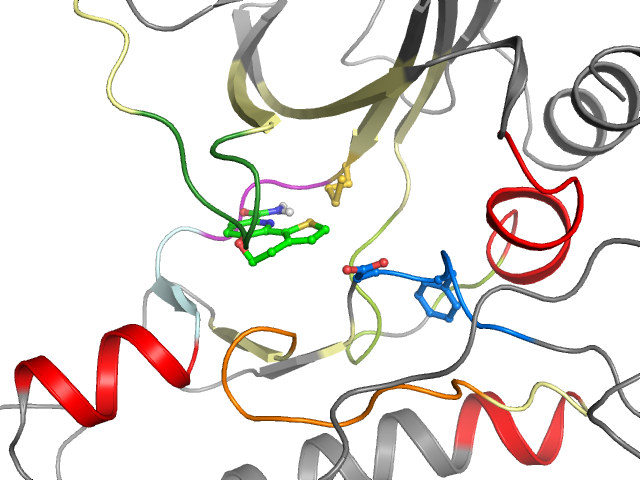 The orthosteric binding pocket
