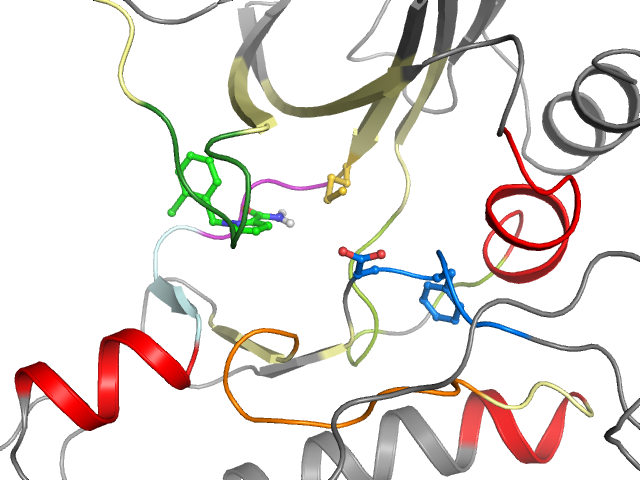 The orthosteric binding pocket
