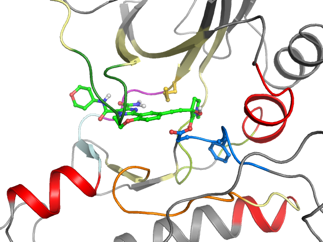 The orthosteric binding pocket