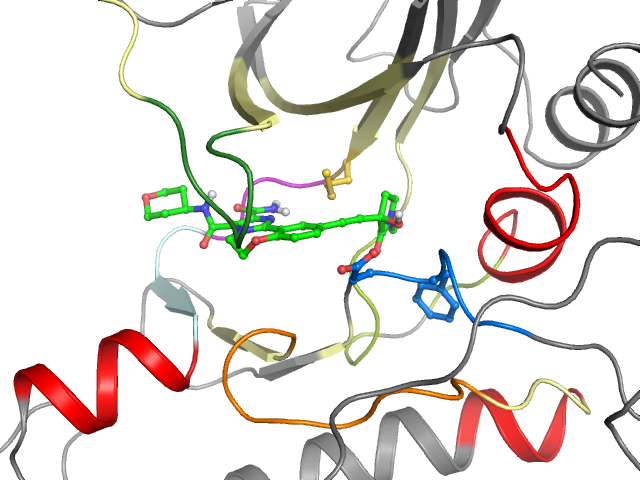 The orthosteric binding pocket