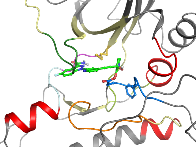 The orthosteric binding pocket