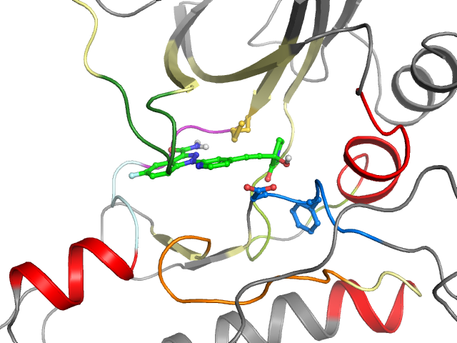 The orthosteric binding pocket