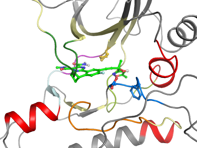 The orthosteric binding pocket
