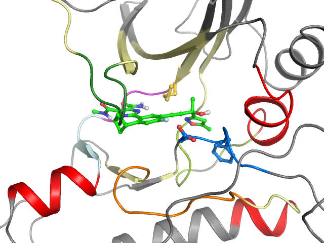 The orthosteric binding pocket